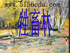 《牲畜林》ppt课件2