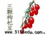 蘇教版七年級(jí)語(yǔ)文下冊(cè)7 三顆枸杞豆