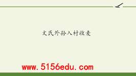 《文氏外孙入村收麦》ppt课件12