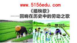 《插秧歌》pptx课件3